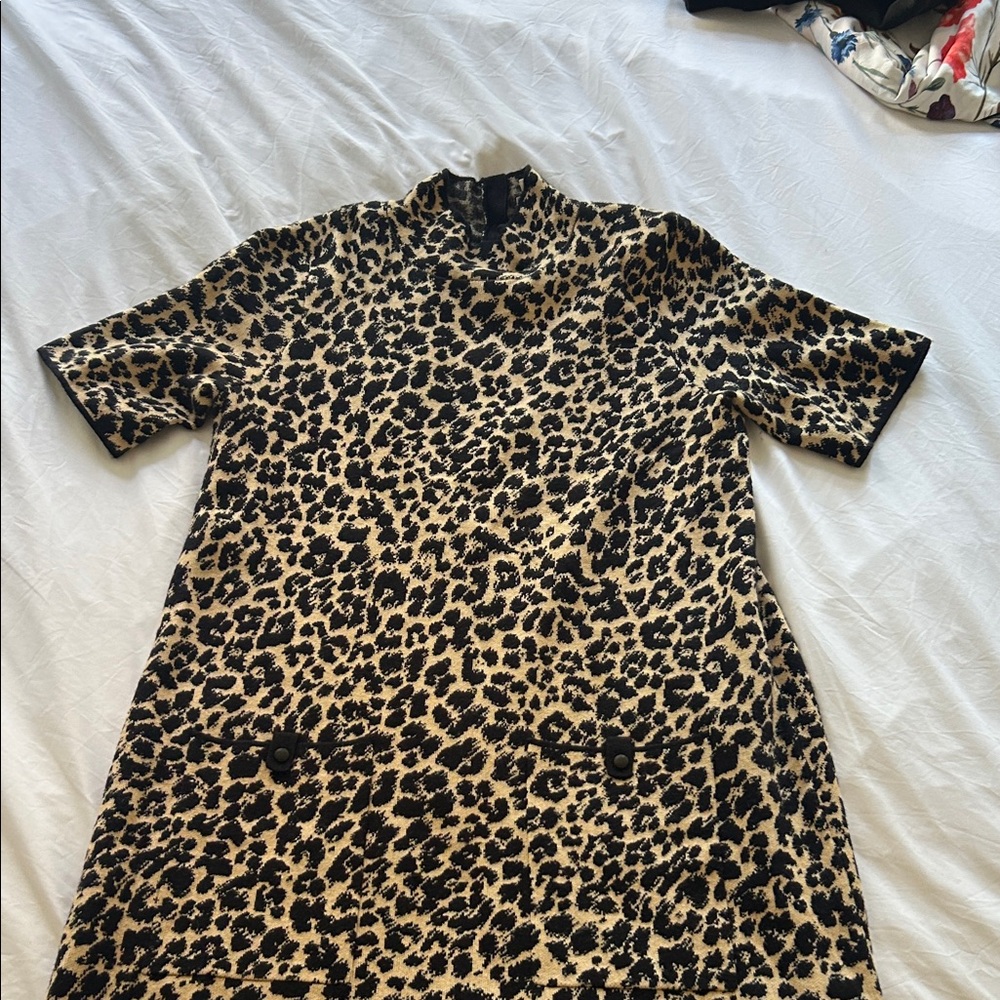 Anthropologie Leopard Print Mini Dress